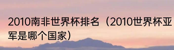 2010南非世界杯排名（2010世界杯亚军是哪个国家）