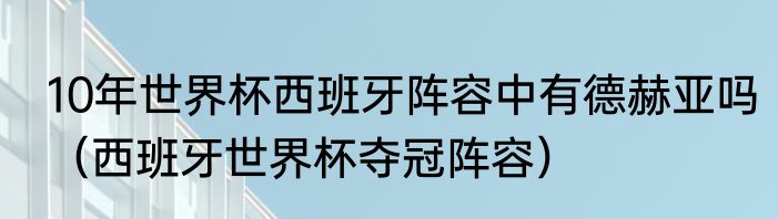 10年世界杯西班牙阵容中有德赫亚吗（西班牙世界杯夺冠阵容）