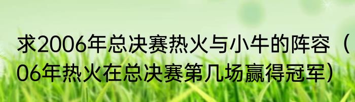 求2006年总决赛热火与小牛的阵容（06年热火在总决赛第几场赢得冠军）
