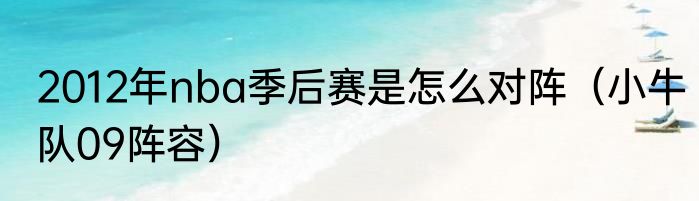 2012年nba季后赛是怎么对阵（小牛队09阵容）