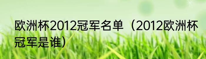 欧洲杯2012冠军名单（2012欧洲杯冠军是谁）