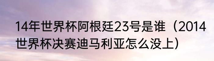 14年世界杯阿根廷23号是谁（2014世界杯决赛迪马利亚怎么没上）