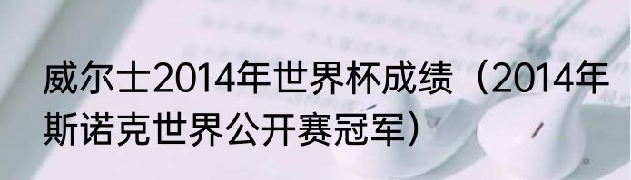 威尔士2014年世界杯成绩（2014年斯诺克世界公开赛冠军）