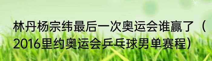 林丹杨宗纬最后一次奥运会谁赢了（2016里约奥运会乒乓球男单赛程）