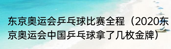 东京奥运会乒乓球比赛全程（2020东京奥运会中国乒乓球拿了几枚金牌）