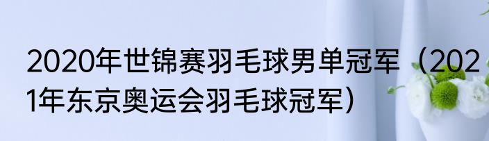 2020年世锦赛羽毛球男单冠军（2021年东京奥运会羽毛球冠军）
