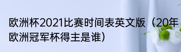 欧洲杯2021比赛时间表英文版（20年欧洲冠军杯得主是谁）