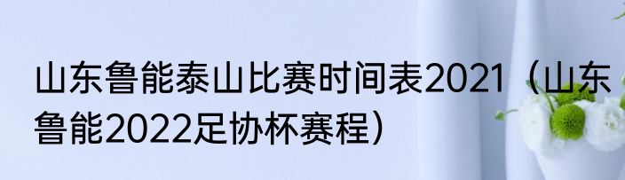 山东鲁能泰山比赛时间表2021（山东鲁能2022足协杯赛程）