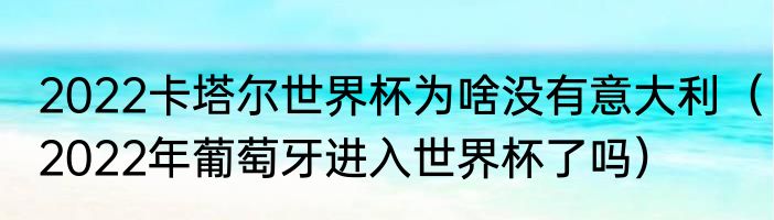 2022卡塔尔世界杯为啥没有意大利（2022年葡萄牙进入世界杯了吗）