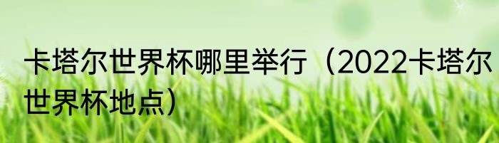 卡塔尔世界杯哪里举行（2022卡塔尔世界杯地点）