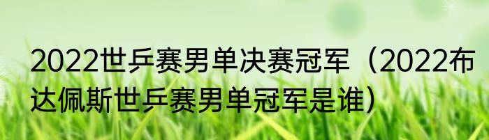 2022世乒赛男单决赛冠军（2022布达佩斯世乒赛男单冠军是谁）