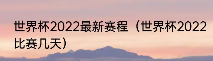 世界杯2022最新赛程（世界杯2022比赛几天）