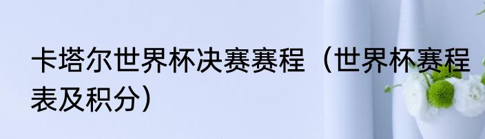 卡塔尔世界杯决赛赛程（世界杯赛程表及积分）
