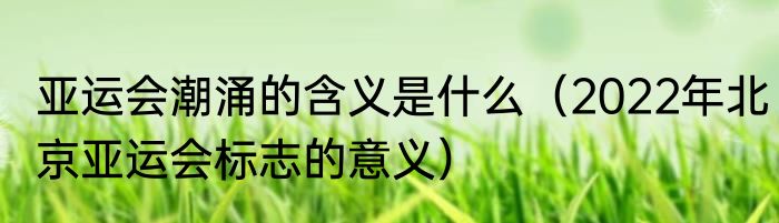 亚运会潮涌的含义是什么（2022年北京亚运会标志的意义）