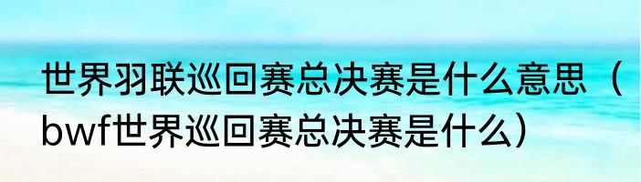世界羽联巡回赛总决赛是什么意思（bwf世界巡回赛总决赛是什么）