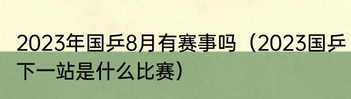 2023年国乒8月有赛事吗（2023国乒下一站是什么比赛）
