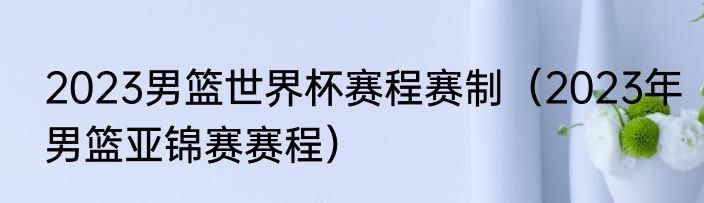 2023男篮世界杯赛程赛制（2023年男篮亚锦赛赛程）
