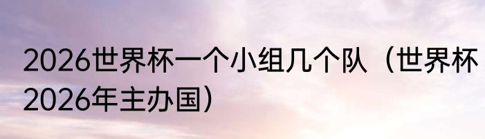 2026世界杯一个小组几个队（世界杯2026年主办国）
