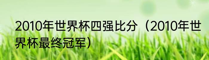 2010年世界杯四强比分（2010年世界杯最终冠军）