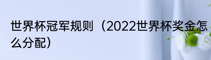 世界杯冠军规则（2022世界杯奖金怎么分配）