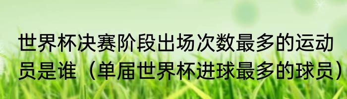 世界杯决赛阶段出场次数最多的运动员是谁（单届世界杯进球最多的球员）