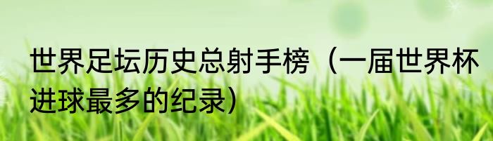 世界足坛历史总射手榜（一届世界杯进球最多的纪录）