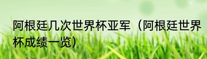 阿根廷几次世界杯亚军（阿根廷世界杯成绩一览）