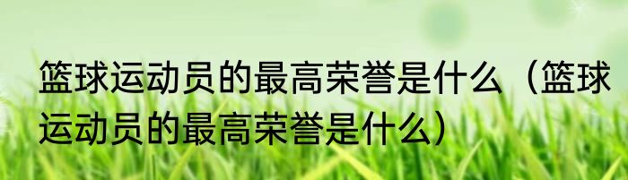 篮球运动员的最高荣誉是什么（篮球运动员的最高荣誉是什么）