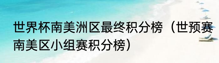 世界杯南美洲区最终积分榜（世预赛南美区小组赛积分榜）
