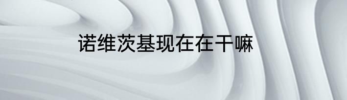 诺维茨基现在在干嘛