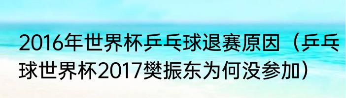 2016年世界杯乒乓球退赛原因（乒乓球世界杯2017樊振东为何没参加）
