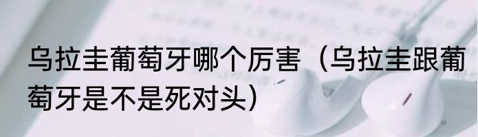 乌拉圭葡萄牙哪个厉害（乌拉圭跟葡萄牙是不是死对头）