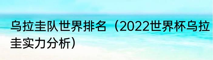 乌拉圭队世界排名（2022世界杯乌拉圭实力分析）