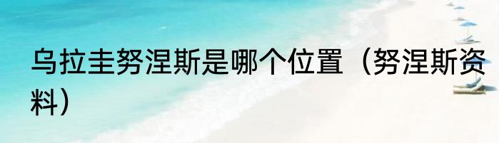 乌拉圭努涅斯是哪个位置（努涅斯资料）