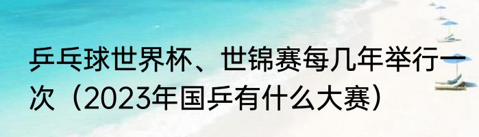 乒乓球世界杯、世锦赛每几年举行一次（2023年国乒有什么大赛）