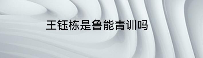王钰栋是鲁能青训吗
