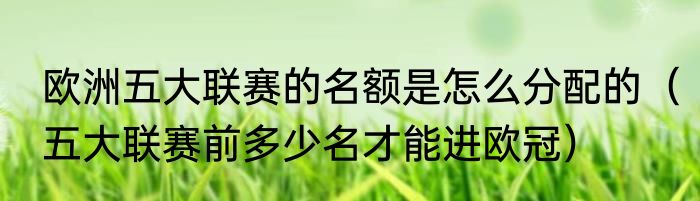 欧洲五大联赛的名额是怎么分配的（五大联赛前多少名才能进欧冠）