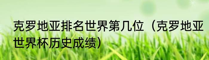 克罗地亚排名世界第几位（克罗地亚世界杯历史成绩）