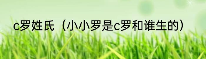 c罗姓氏（小小罗是c罗和谁生的）