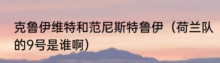 克鲁伊维特和范尼斯特鲁伊（荷兰队的9号是谁啊）