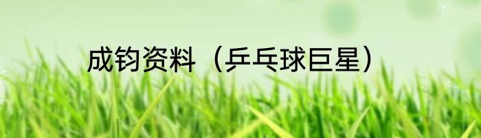 成钧资料（乒乓球巨星）