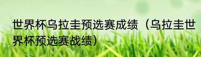 世界杯乌拉圭预选赛成绩（乌拉圭世界杯预选赛战绩）