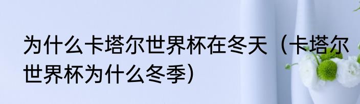 为什么卡塔尔世界杯在冬天（卡塔尔世界杯为什么冬季）