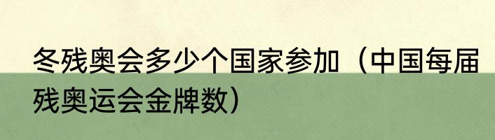 冬残奥会多少个国家参加（中国每届残奥运会金牌数）