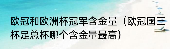欧冠和欧洲杯冠军含金量（欧冠国王杯足总杯哪个含金量最高）