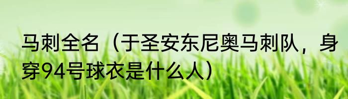 马刺全名（于圣安东尼奥马刺队，身穿94号球衣是什么人）