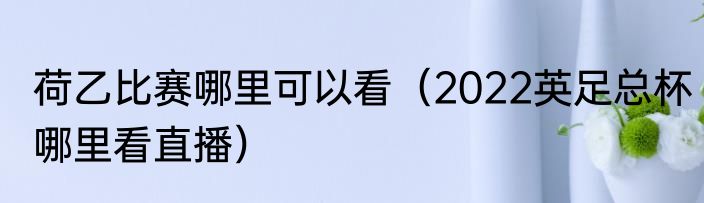 荷乙比赛哪里可以看（2022英足总杯哪里看直播）