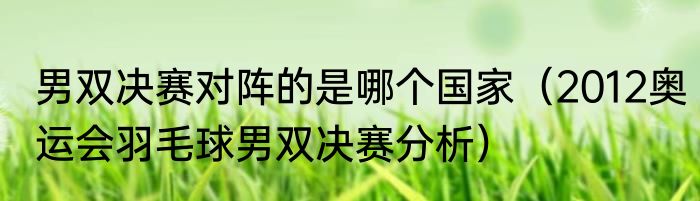 男双决赛对阵的是哪个国家（2012奥运会羽毛球男双决赛分析）
