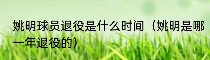 姚明球员退役是什么时间（姚明是哪一年退役的）