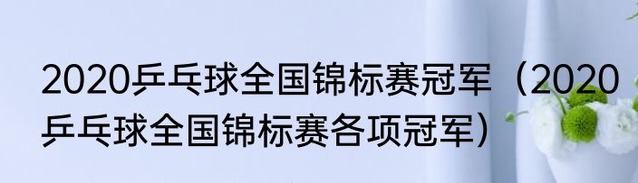 2020乒乓球全国锦标赛冠军（2020乒乓球全国锦标赛各项冠军）